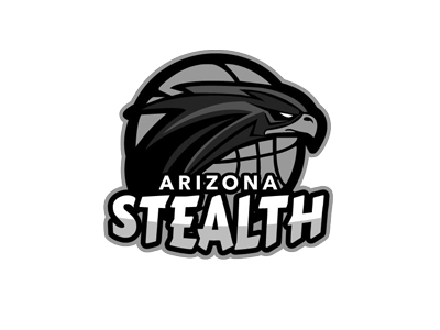 Organization logo for Arizona Stealth