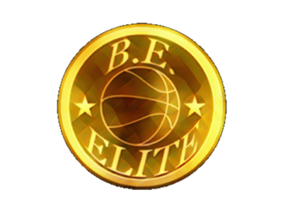 Organization logo for Be Elite