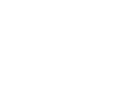 Organization logo for Bay Area Wildcats