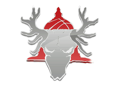 Organization logo for Elk Grove Capitols