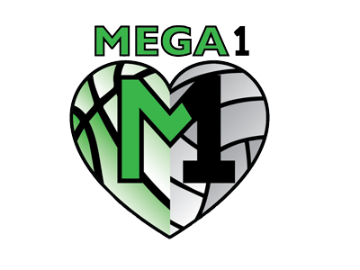 Organization logo for Mega 1 Sports Academy