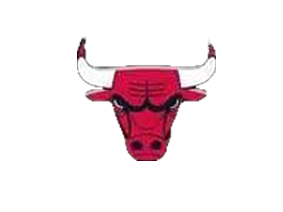 Organization logo for RC Bulls Elite