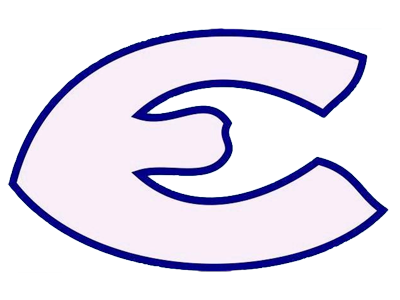 Organization logo for Washington Evolution