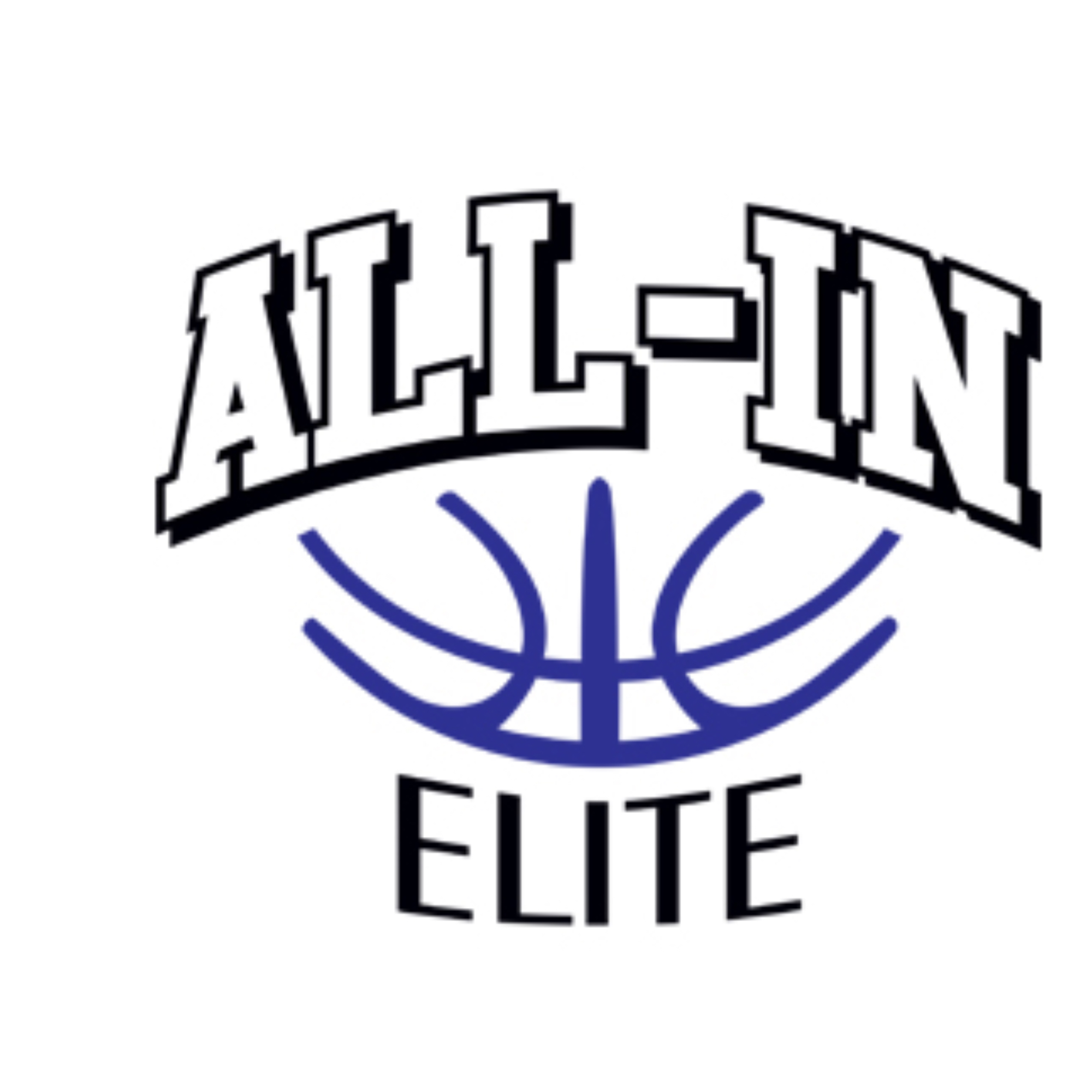 Organization logo for All-In-Elite