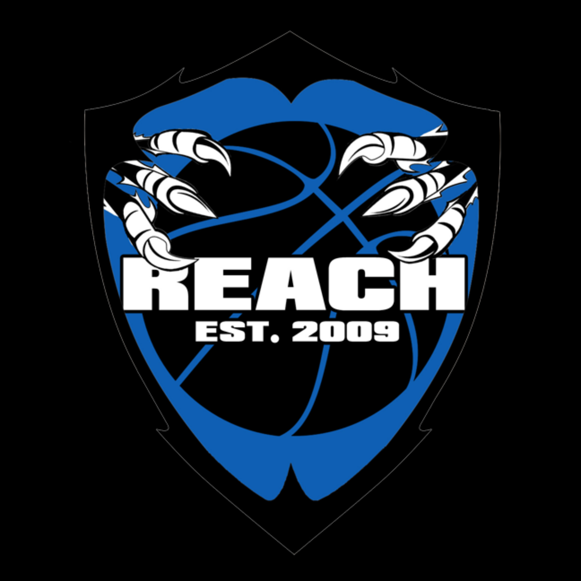 The official logo of Arizona Reach Basketball
