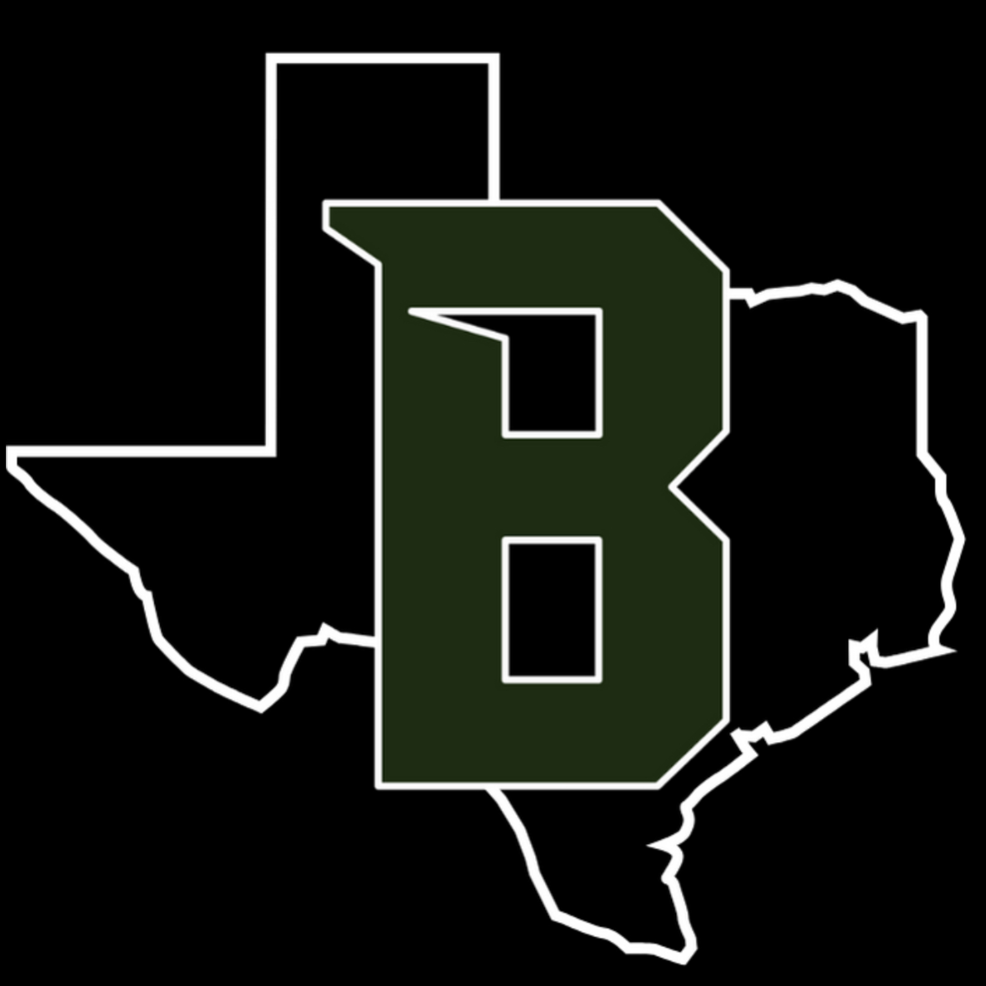 The official logo of Birdville High School