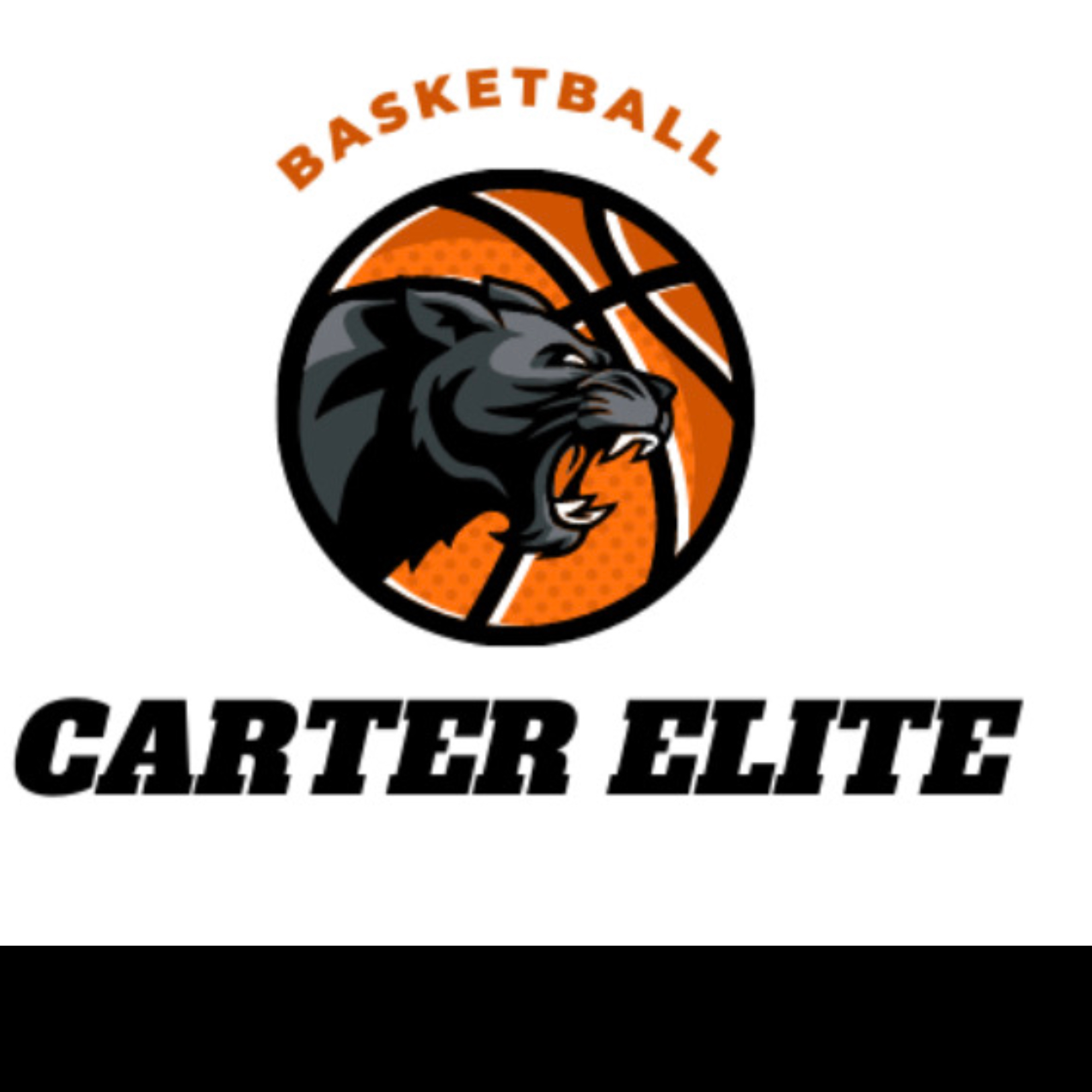 Organization logo for Carter Elite