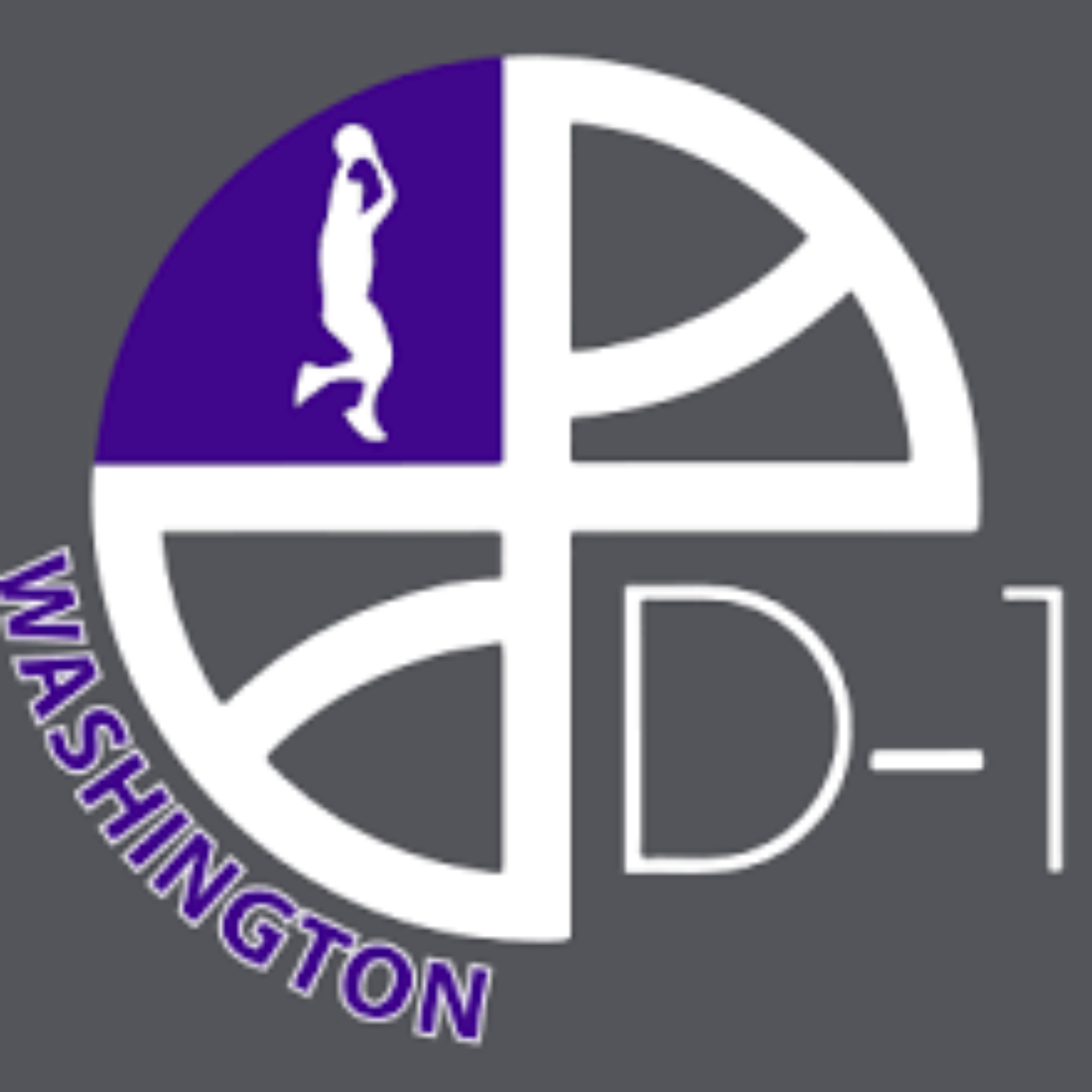 Organization logo for D1 Elite