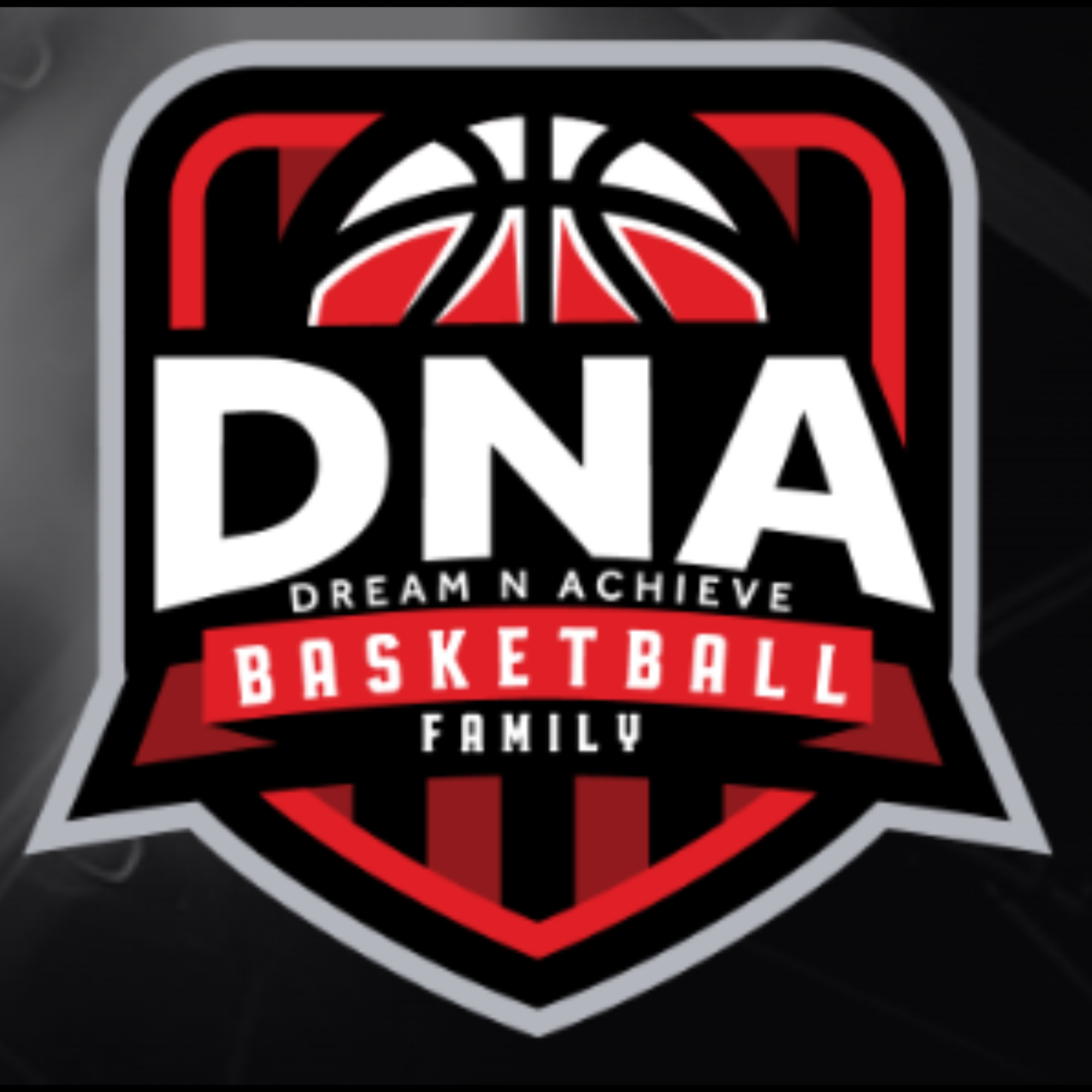 Organization logo for DNA Basketball Family