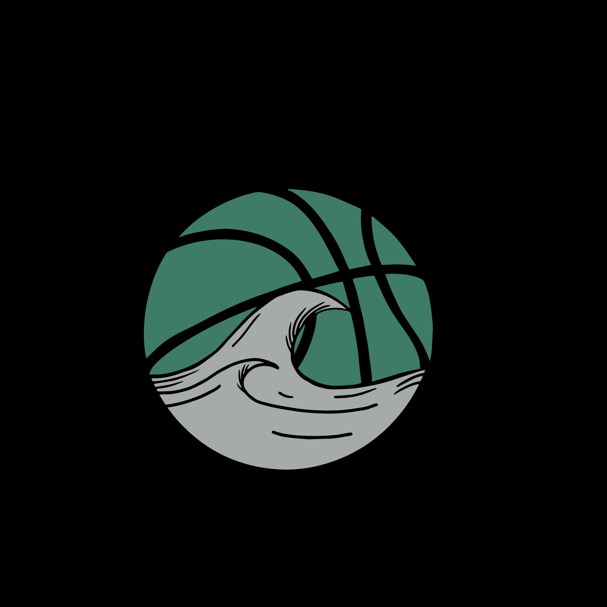 The official logo of DNC Basketball Academy