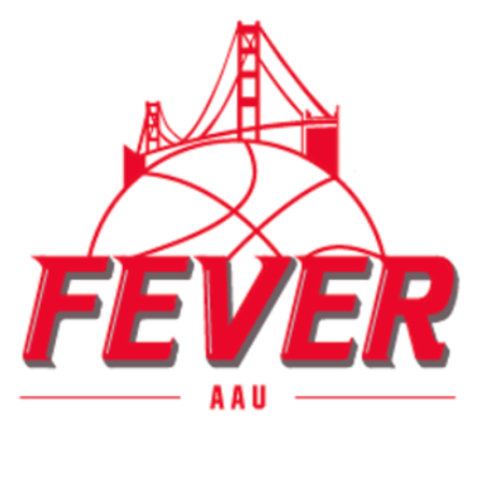 Organization logo for Fever Basketball