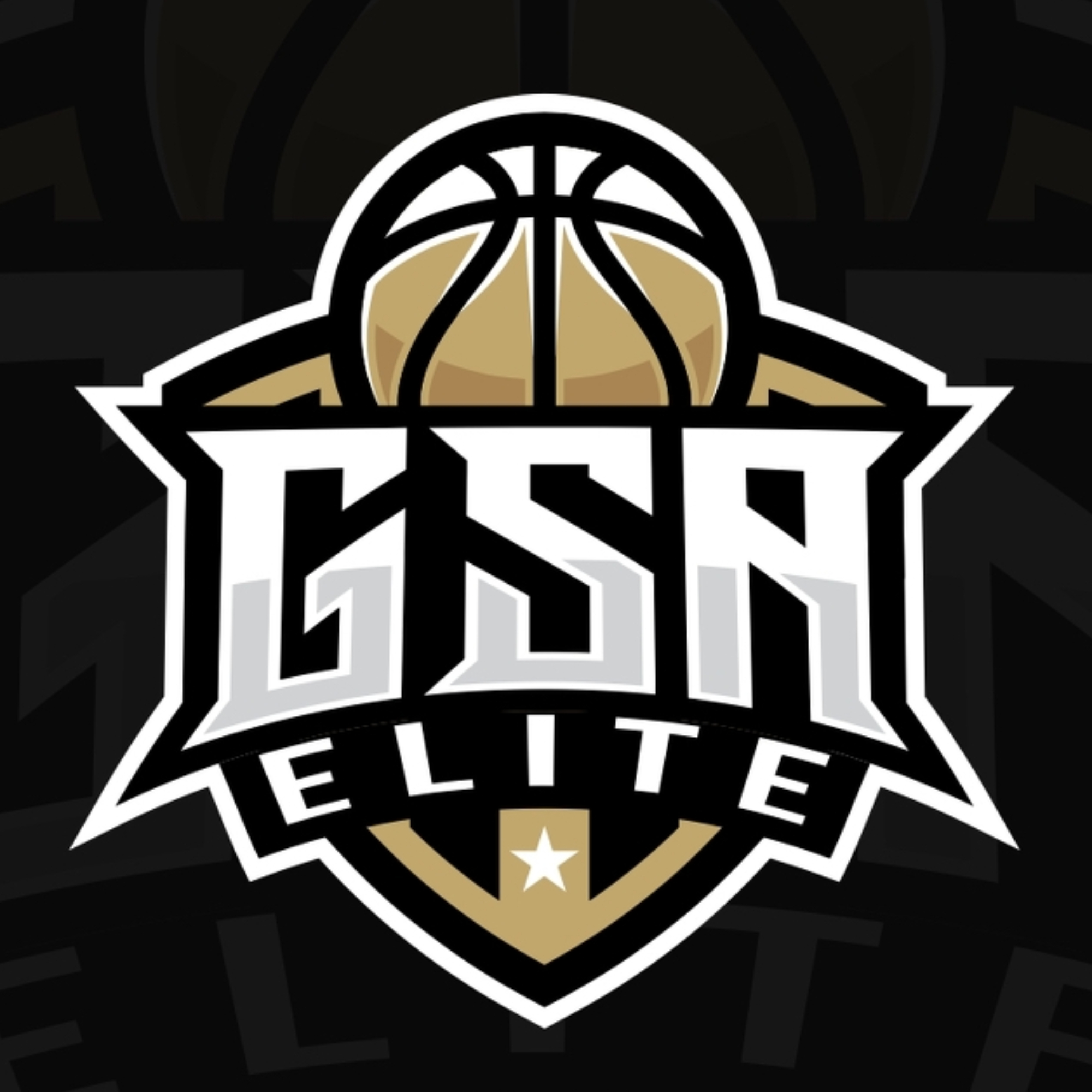 The official logo of GSA Elite