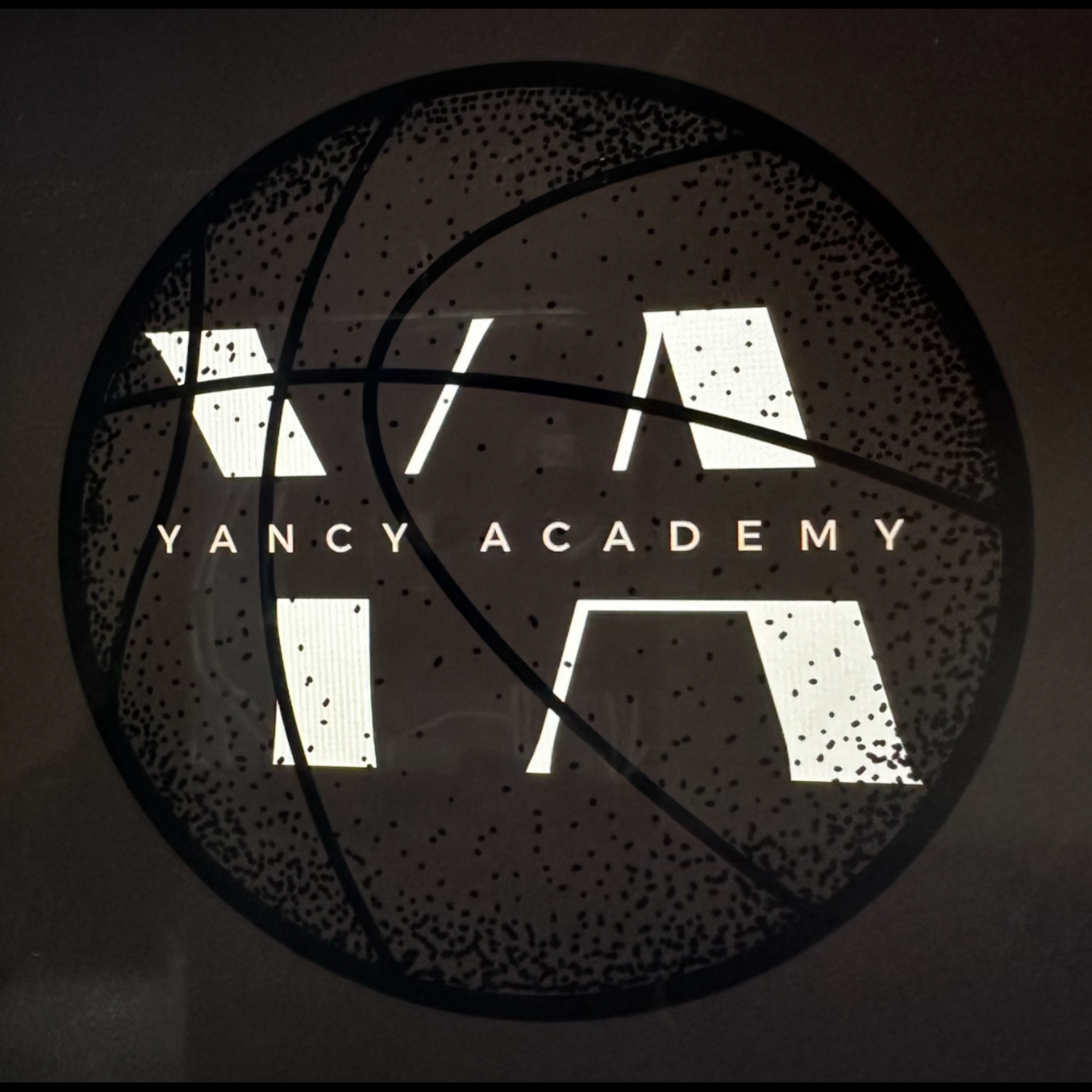 The official logo of INAM