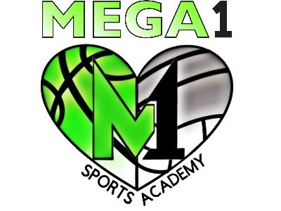 Organization logo for Mega1 Sports Academy