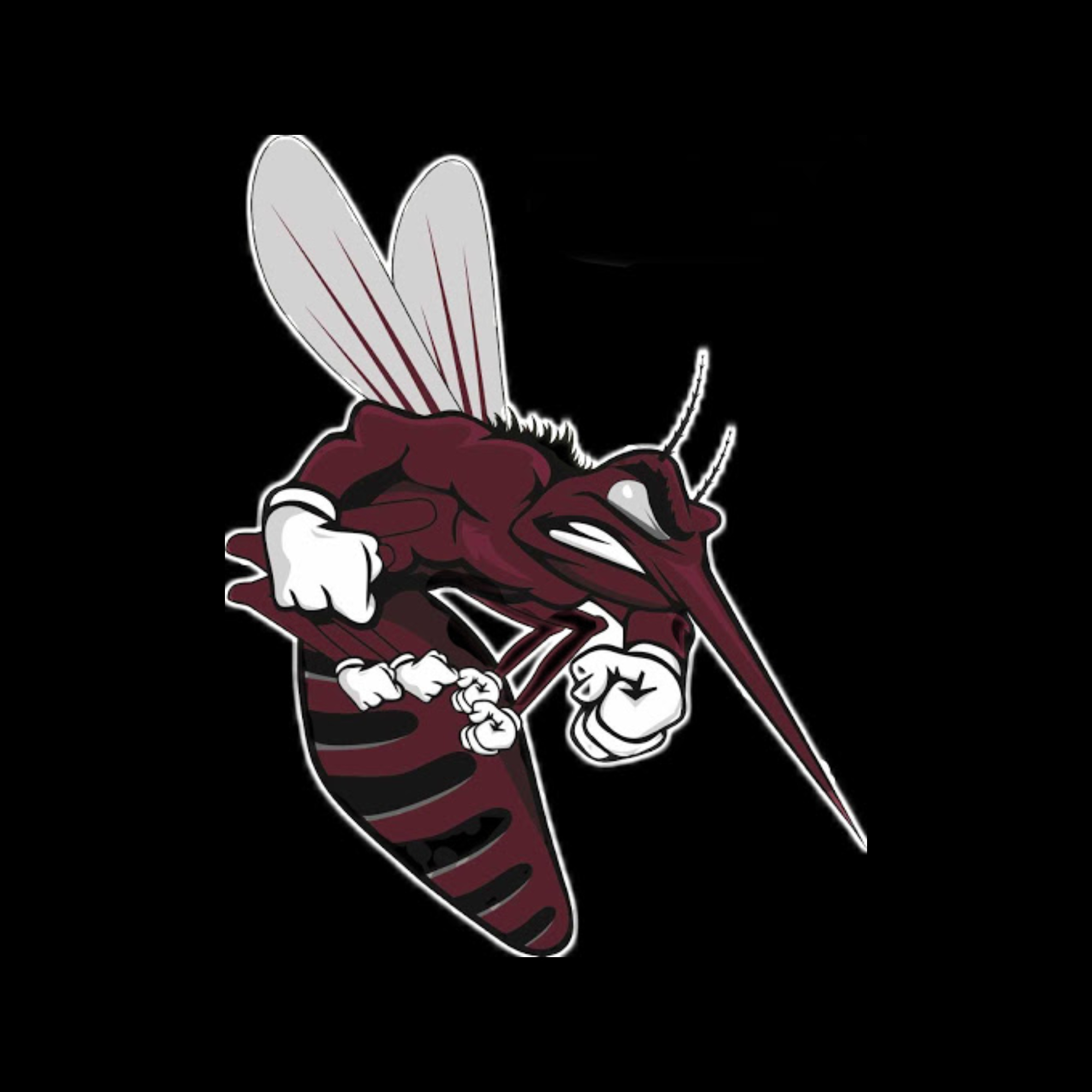 The official logo of Mesquite HS