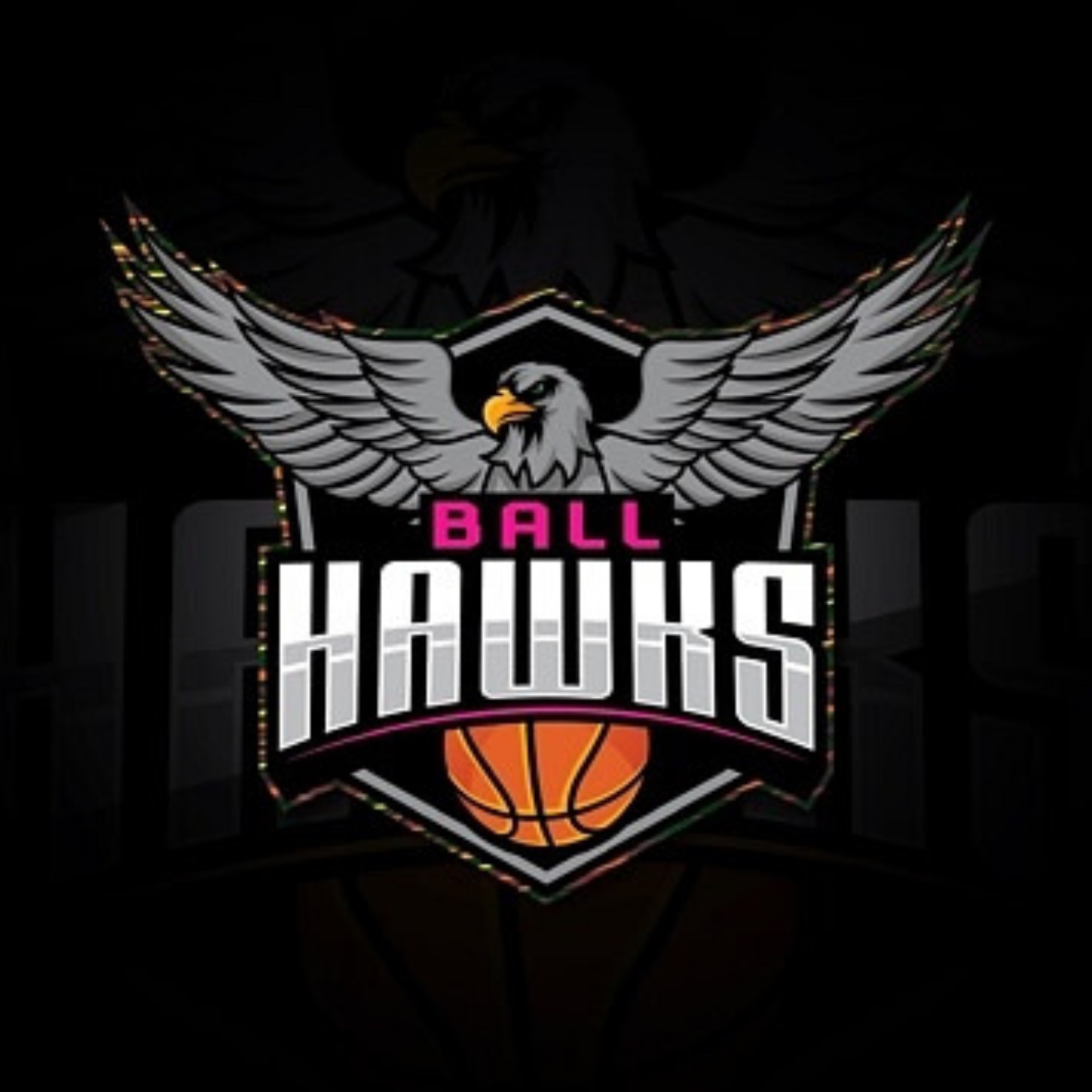 The official logo of Michiana Ball Waks