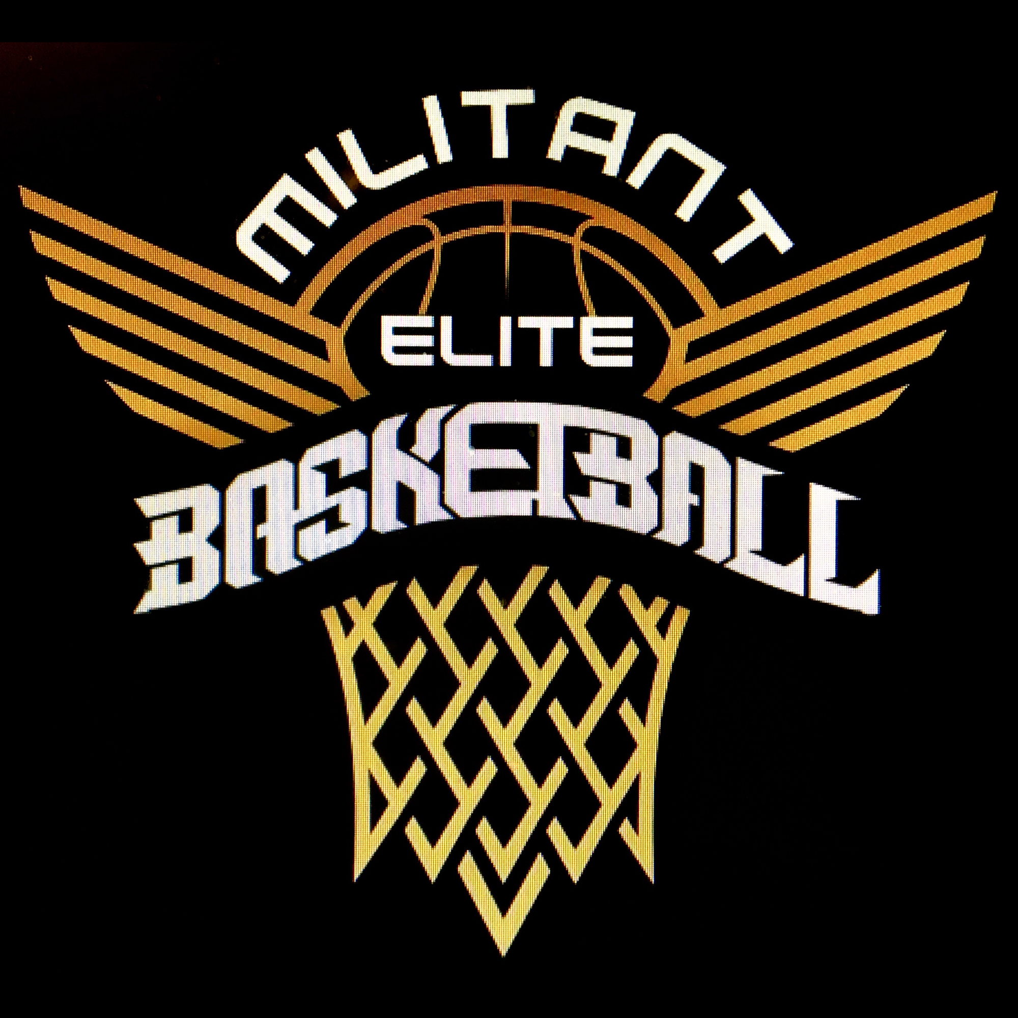 Militant Elite