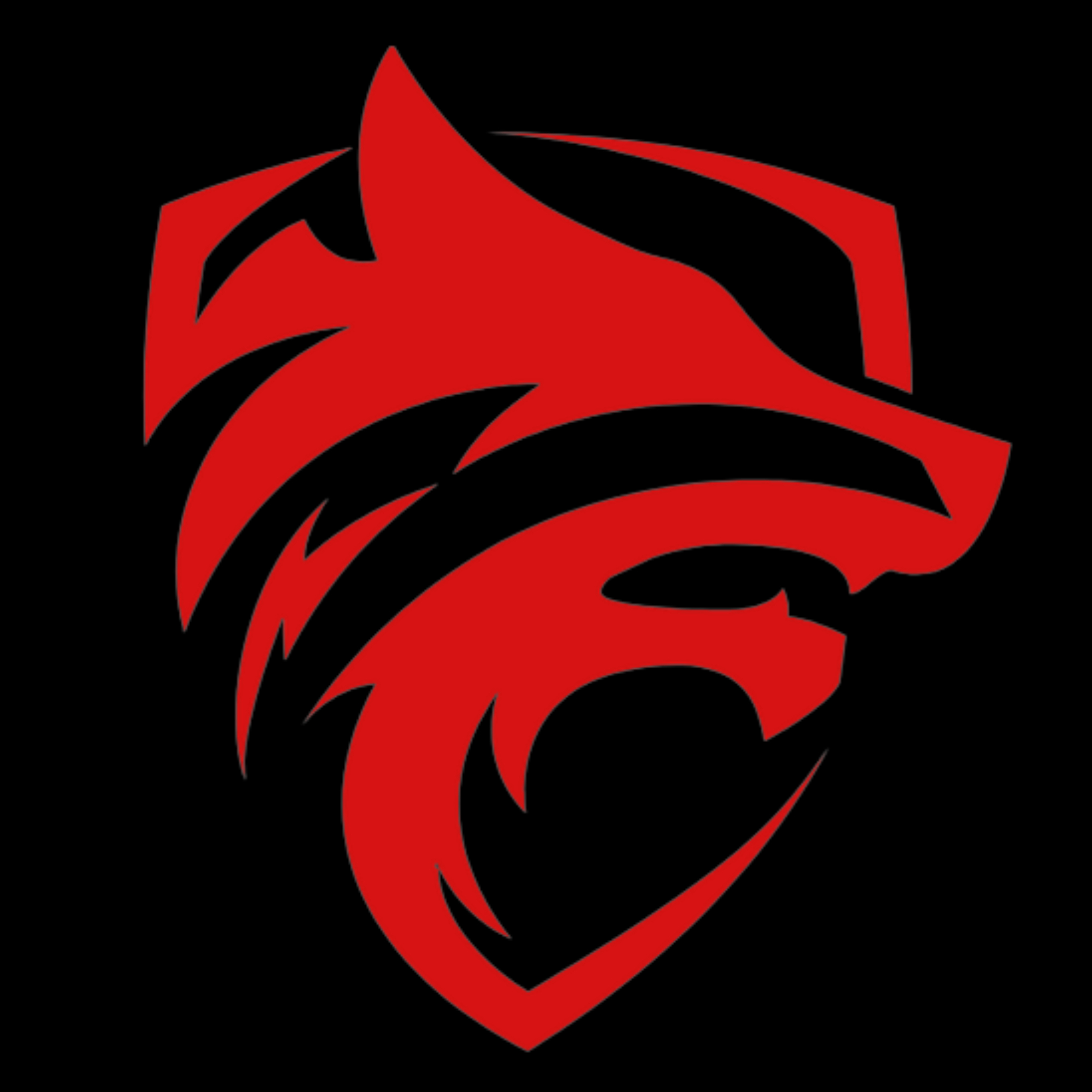 The official logo of Natomas Wolfpack