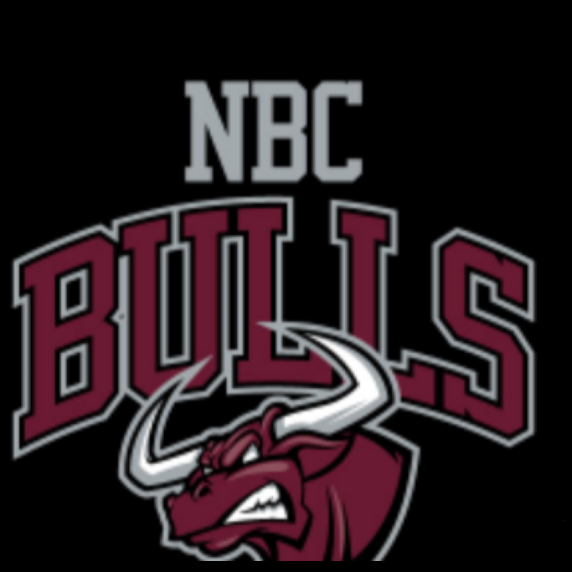 The official logo of NBC BULLS 2028