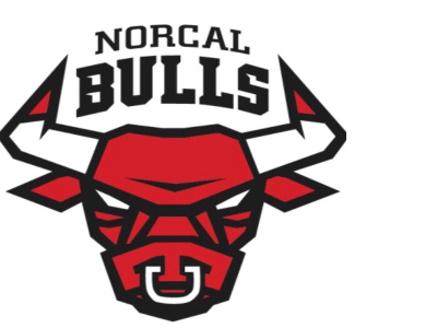 Organization logo for NorCal Bulls