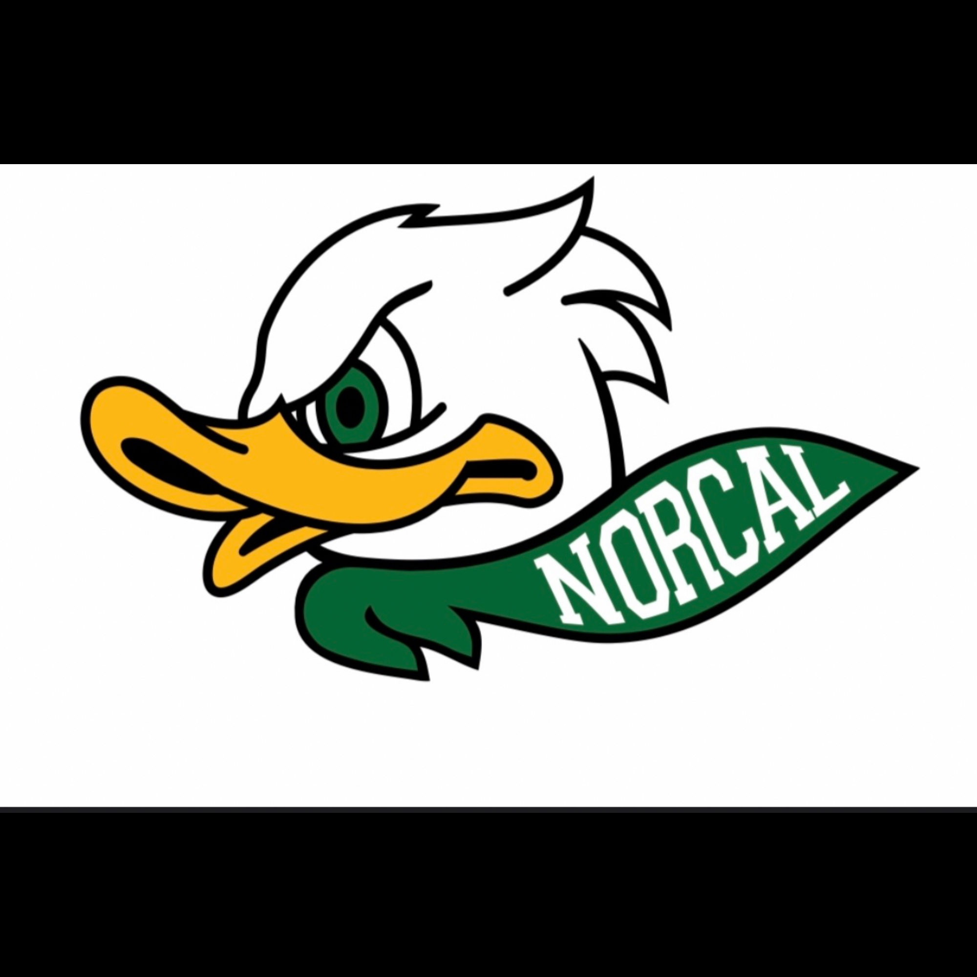Norcal Ducks Girls 8th Grade