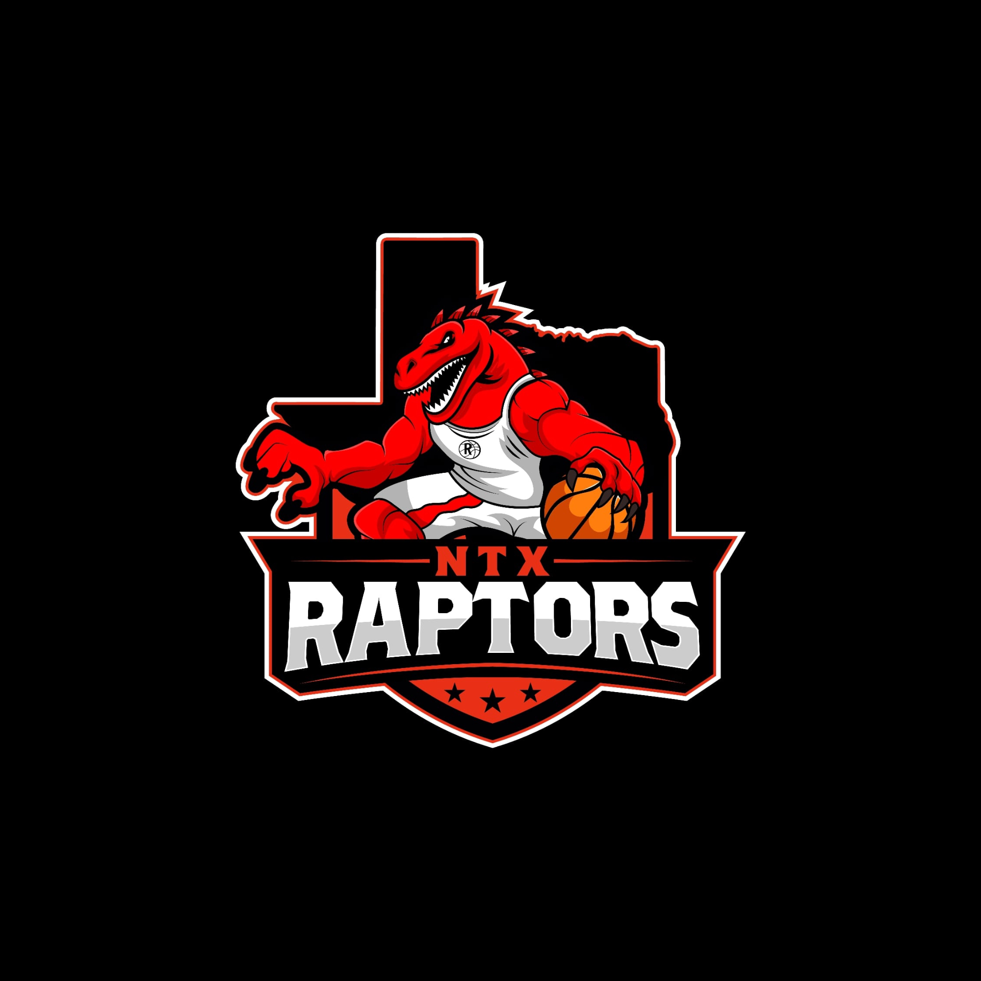 Organization logo for NTX Raptors