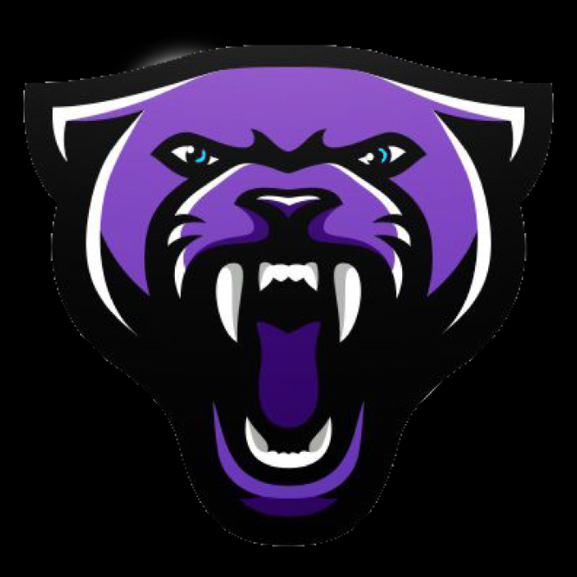 The official logo of Orland Panthers