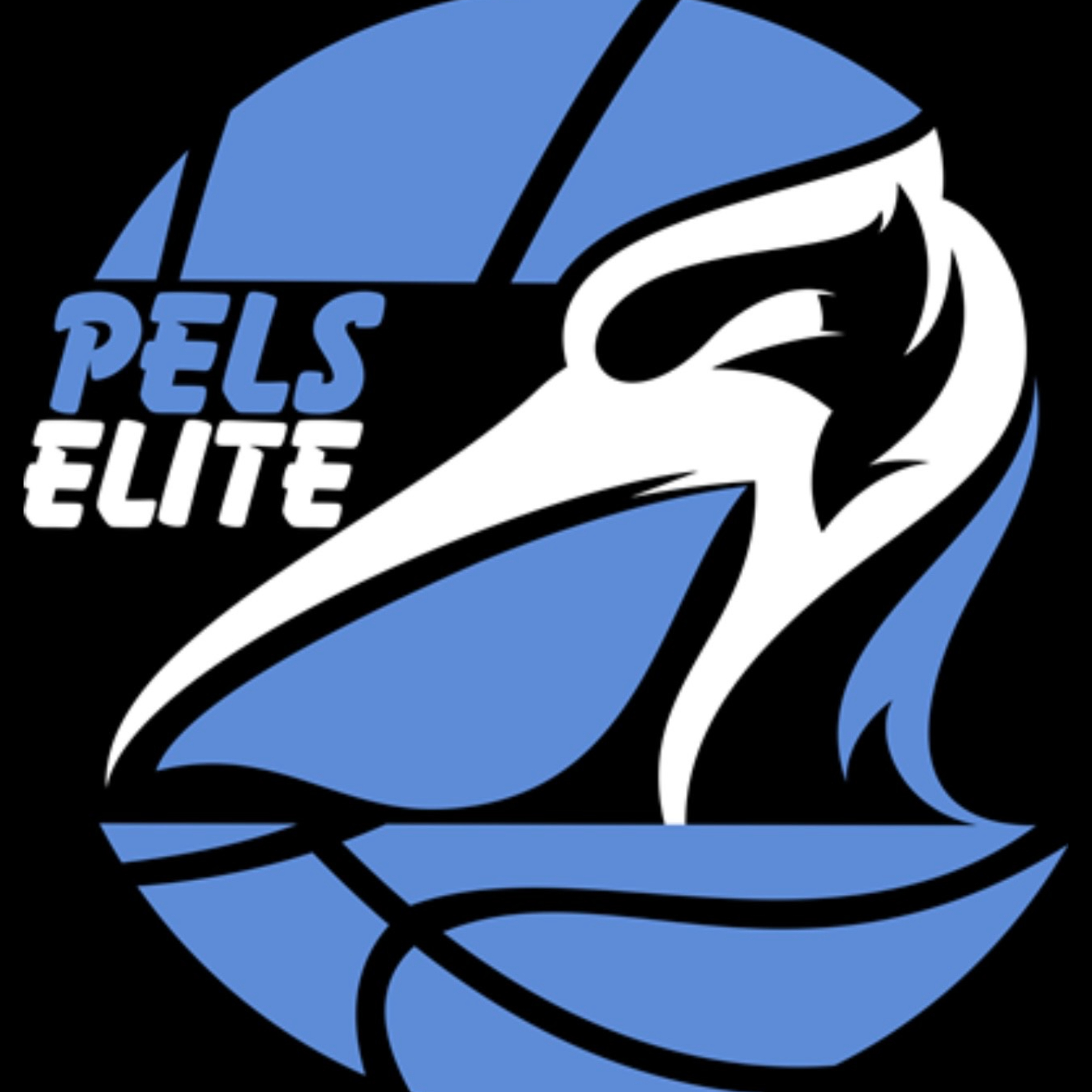 The official logo of Pels Elite Sports Club