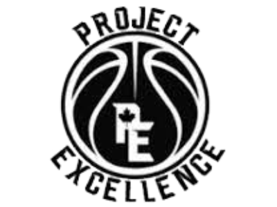 The official logo of Project Excellence