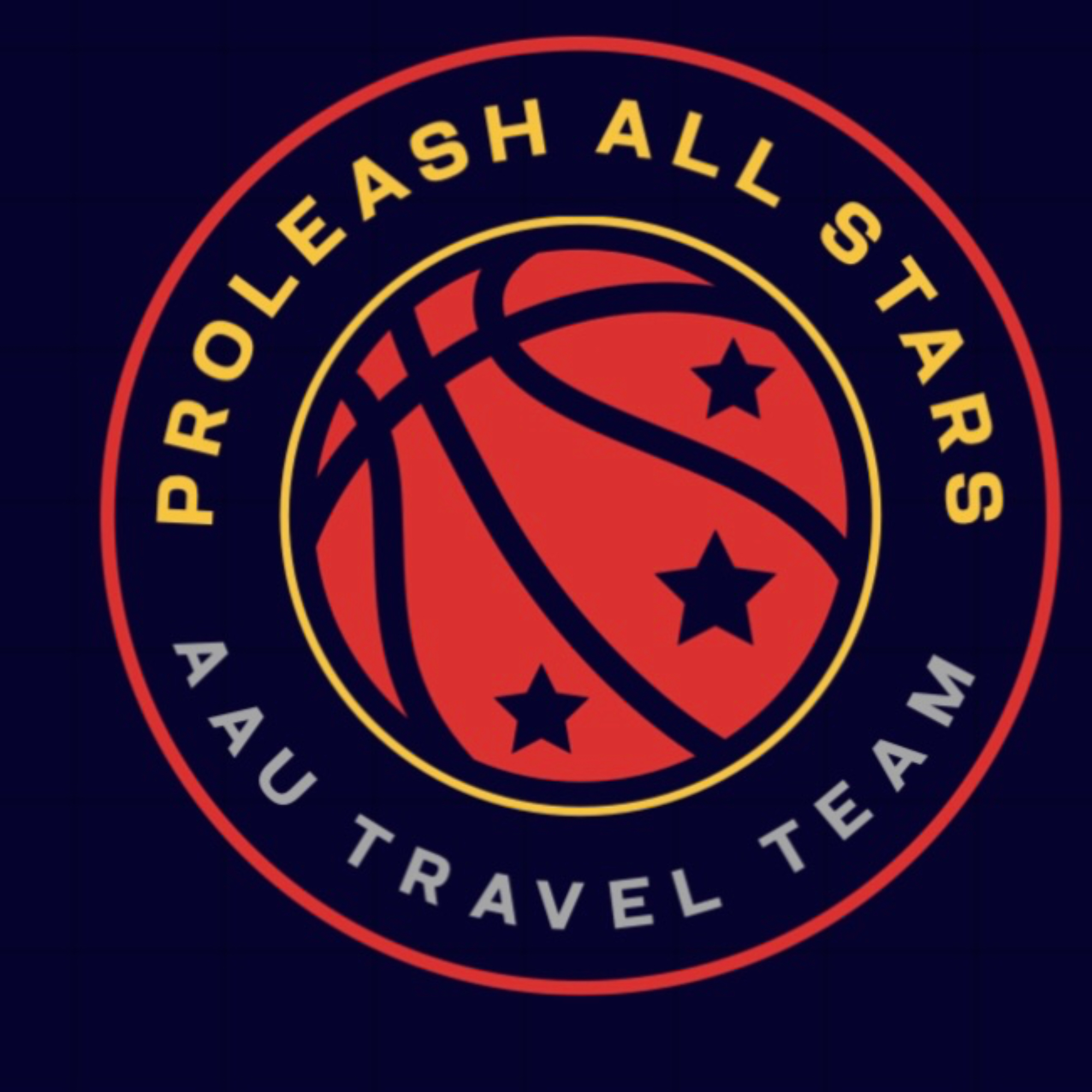 Organization logo for Proleash Allstars