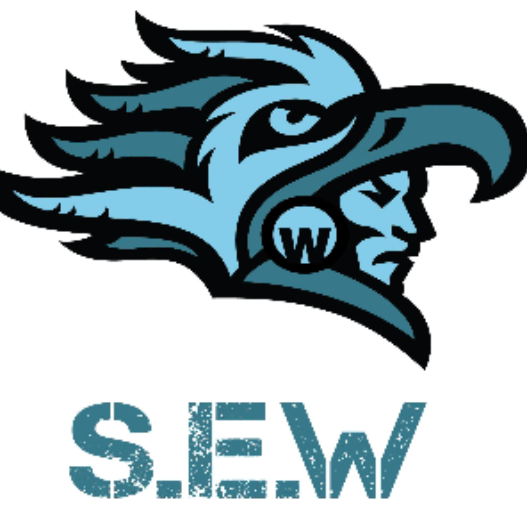 The official logo of SE Warriors