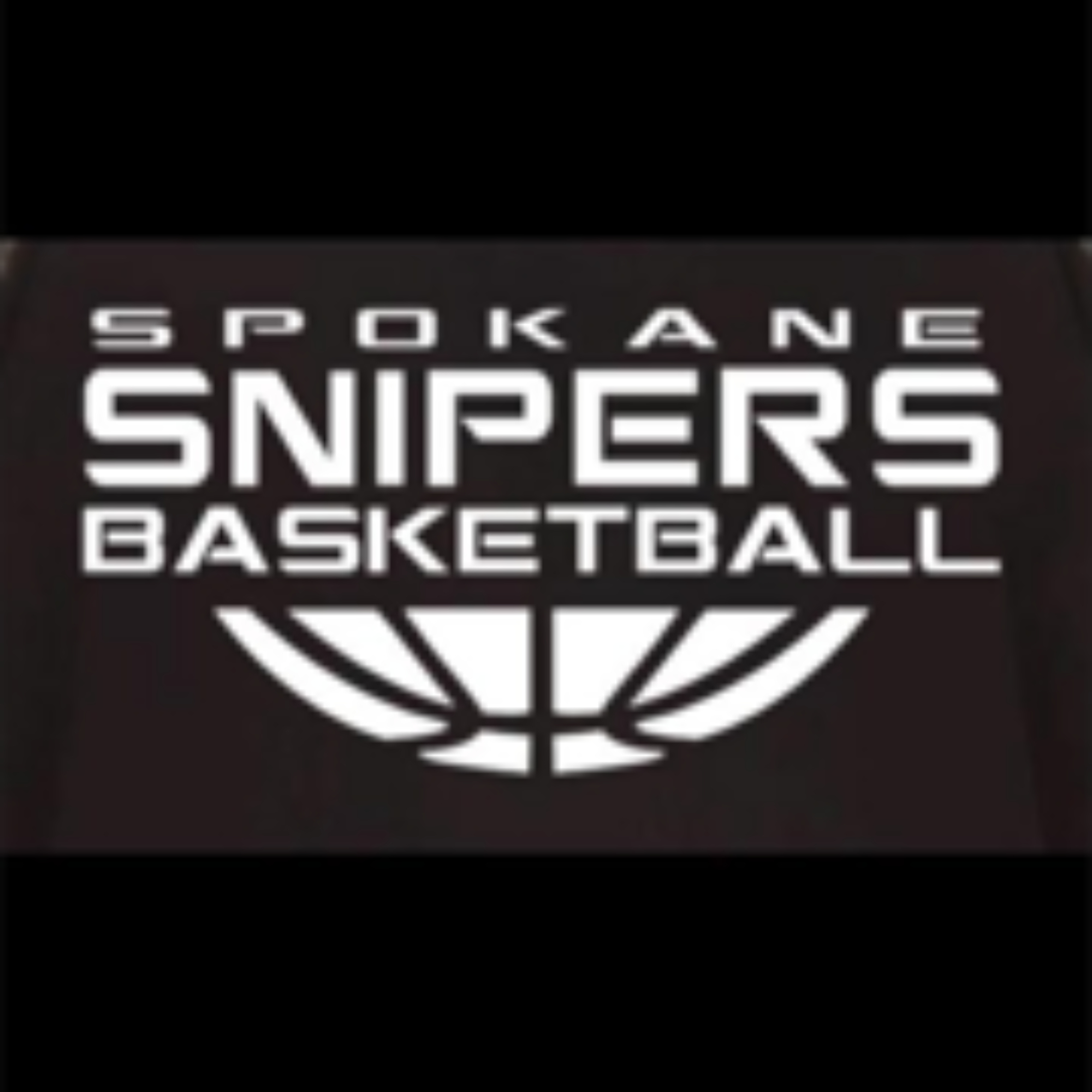 The official logo of Snipers Basketball Club