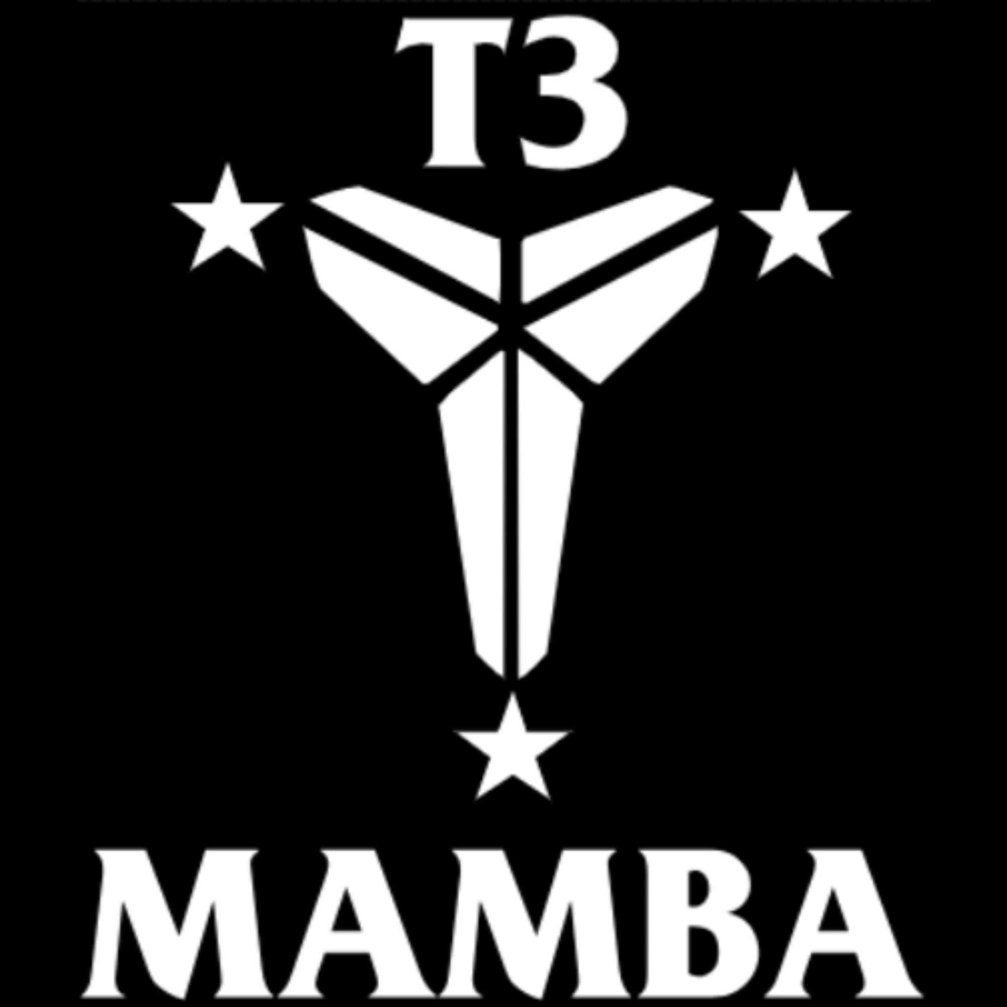 The official logo of T3 Mamba