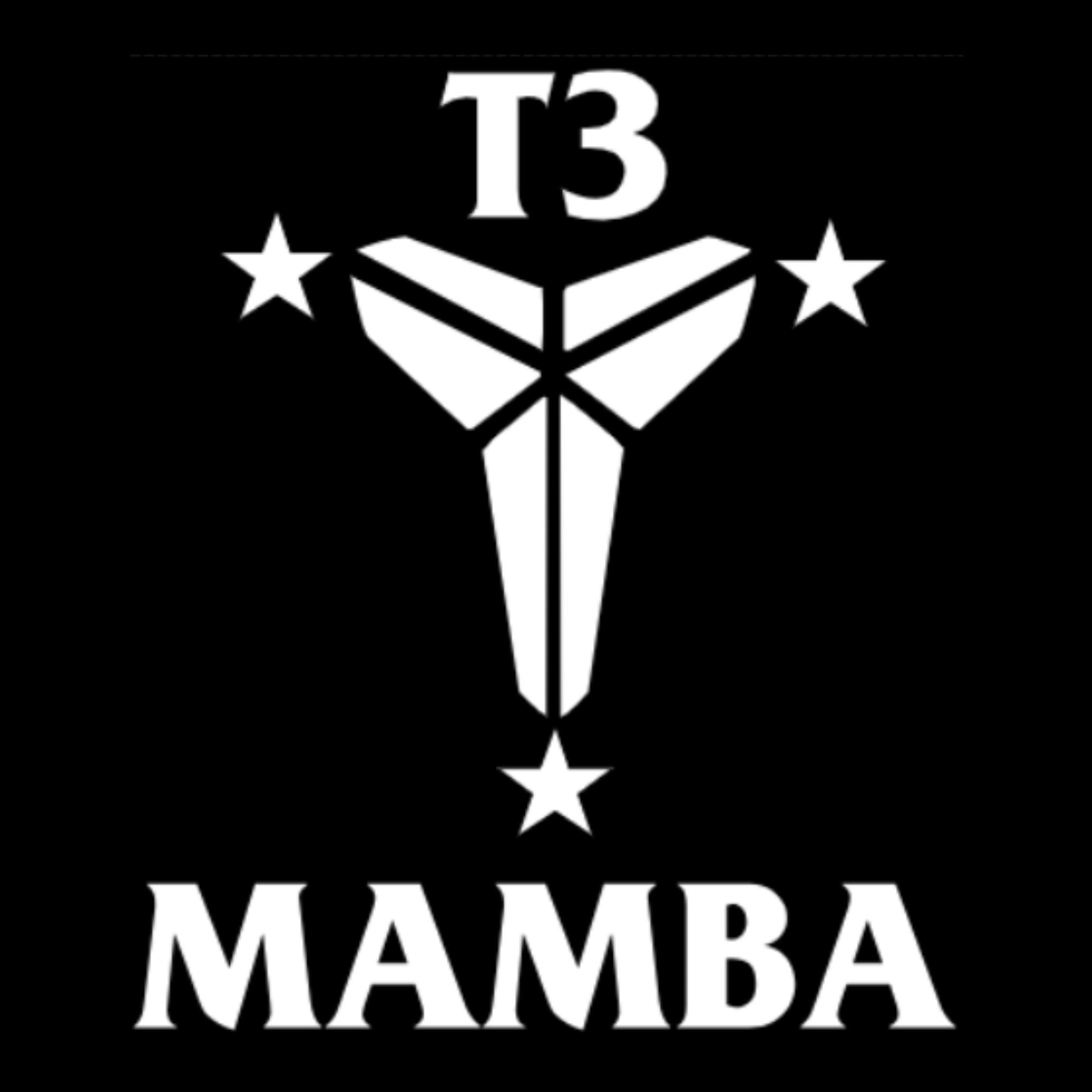 T3 Mamba 