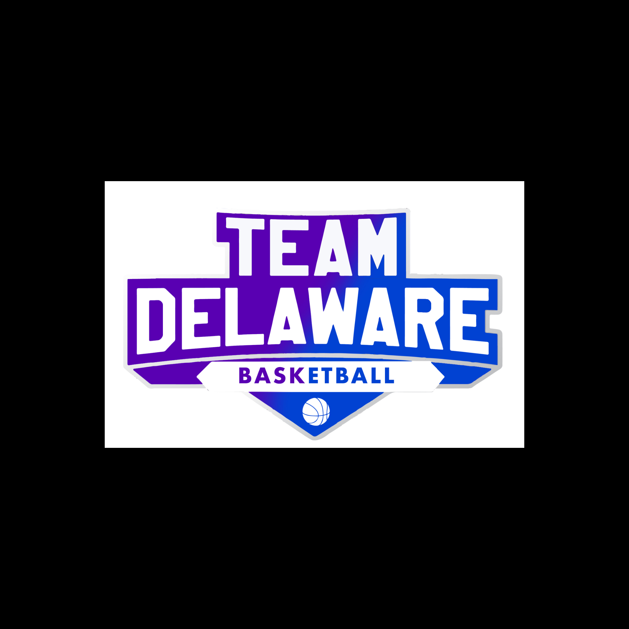 The official logo of Team Delaware
