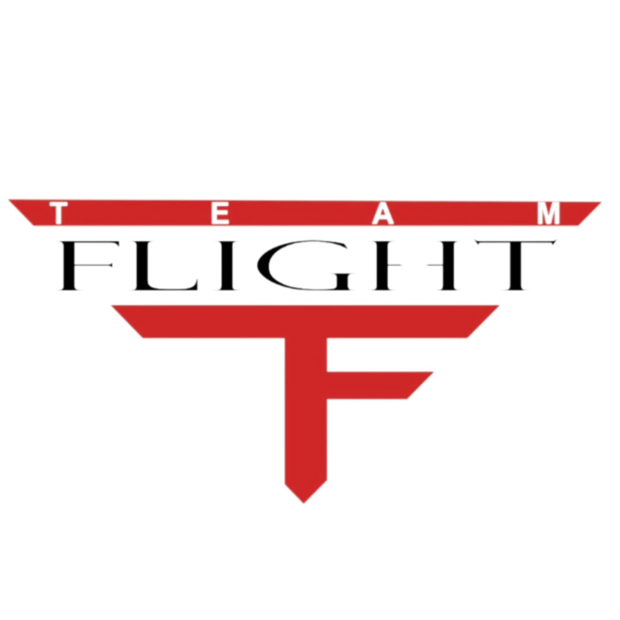 Organization logo for Team Flight WA