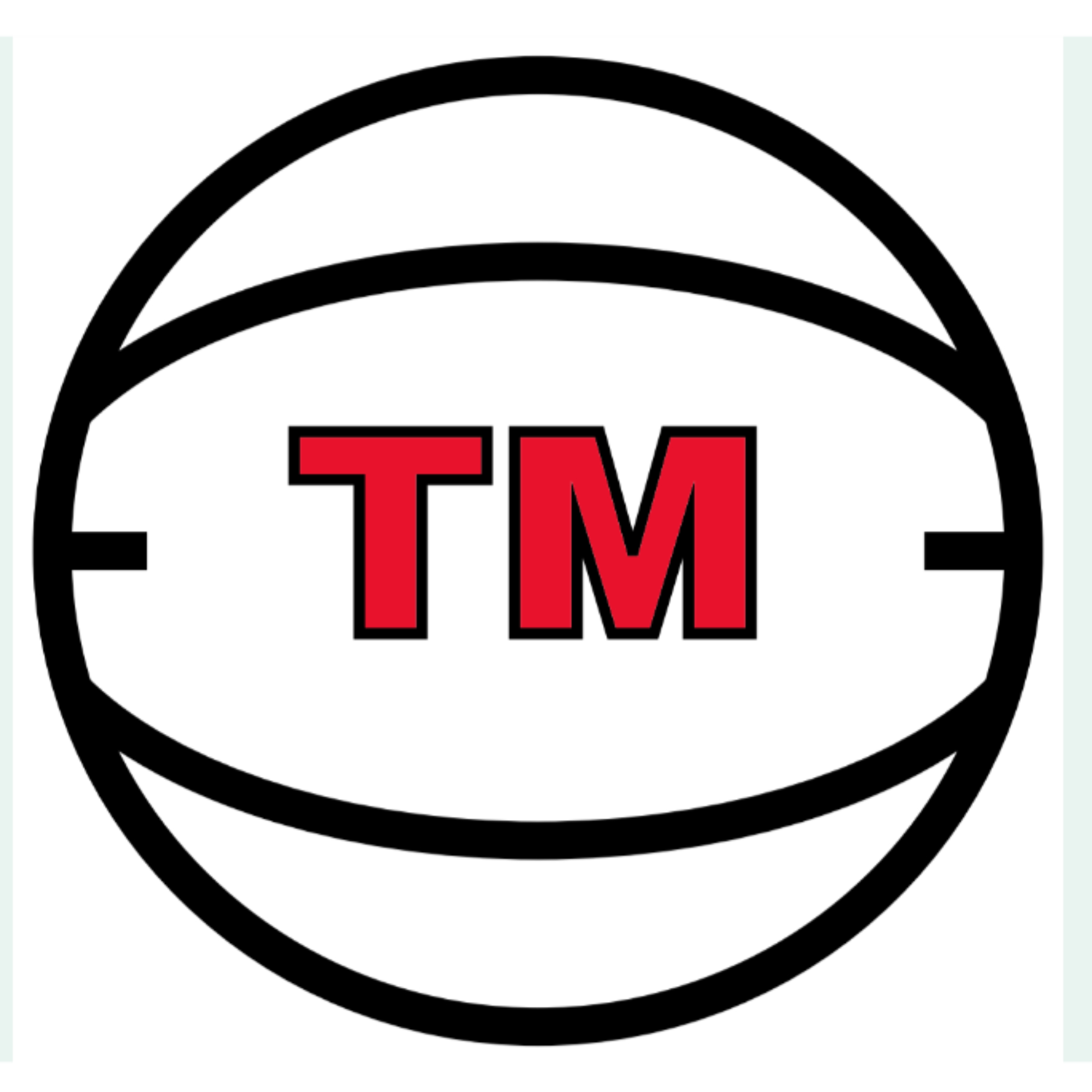 The official logo of Team Metro