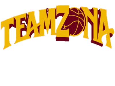 The official logo of Team Zona