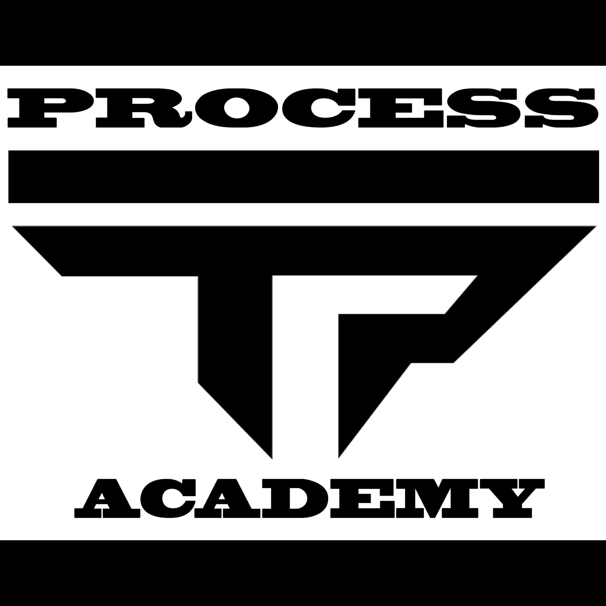 Organization logo for The Process Academy