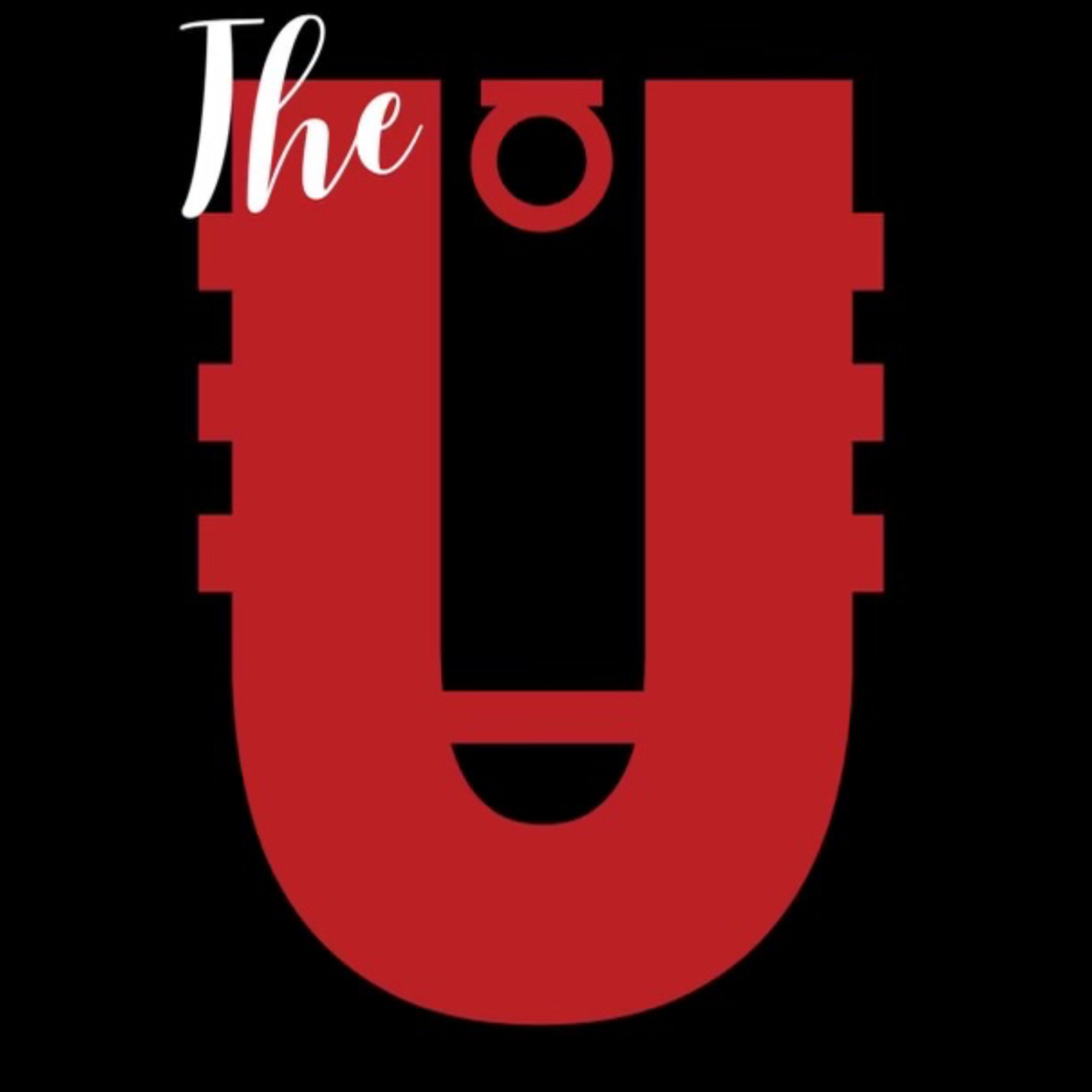 Organization logo for The U Basketball Academy
