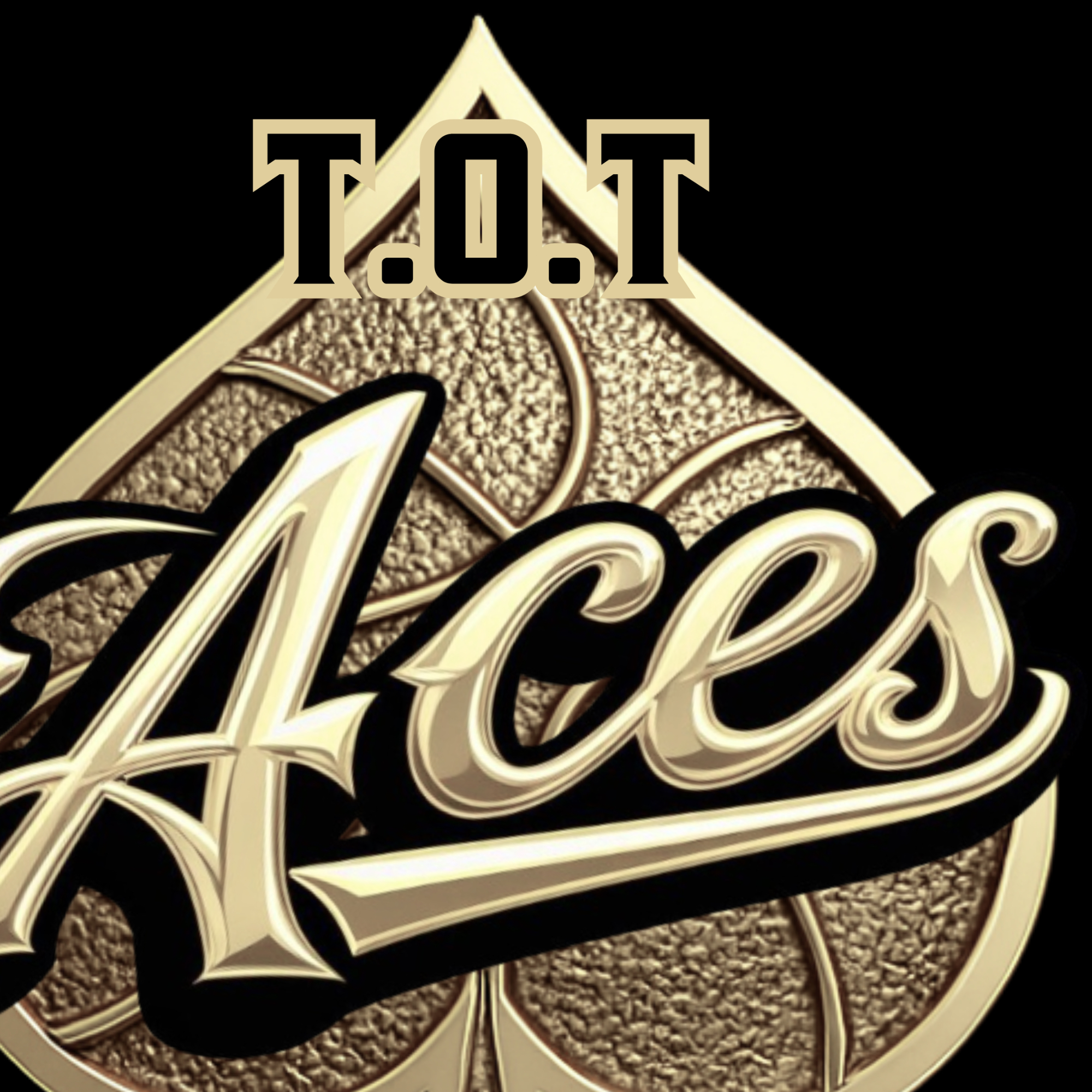 Organization logo for T.O.T Aces