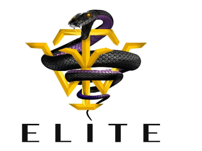 The official logo of TW ELITE BASKETBALL