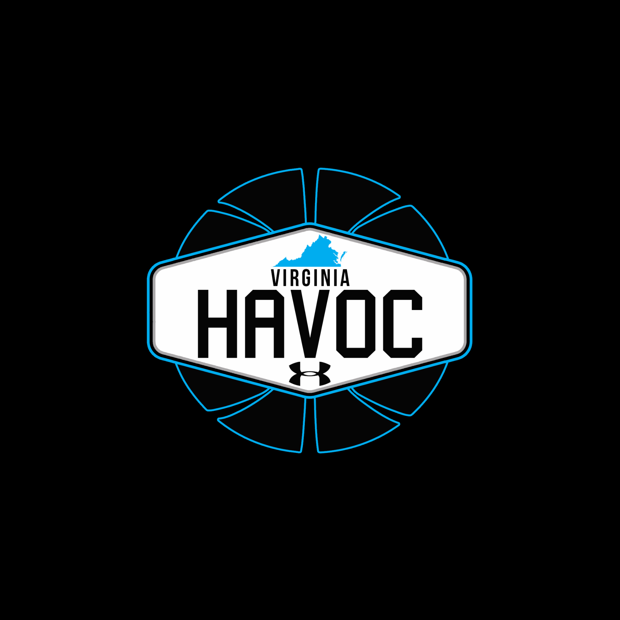 The official logo of VA Havoc