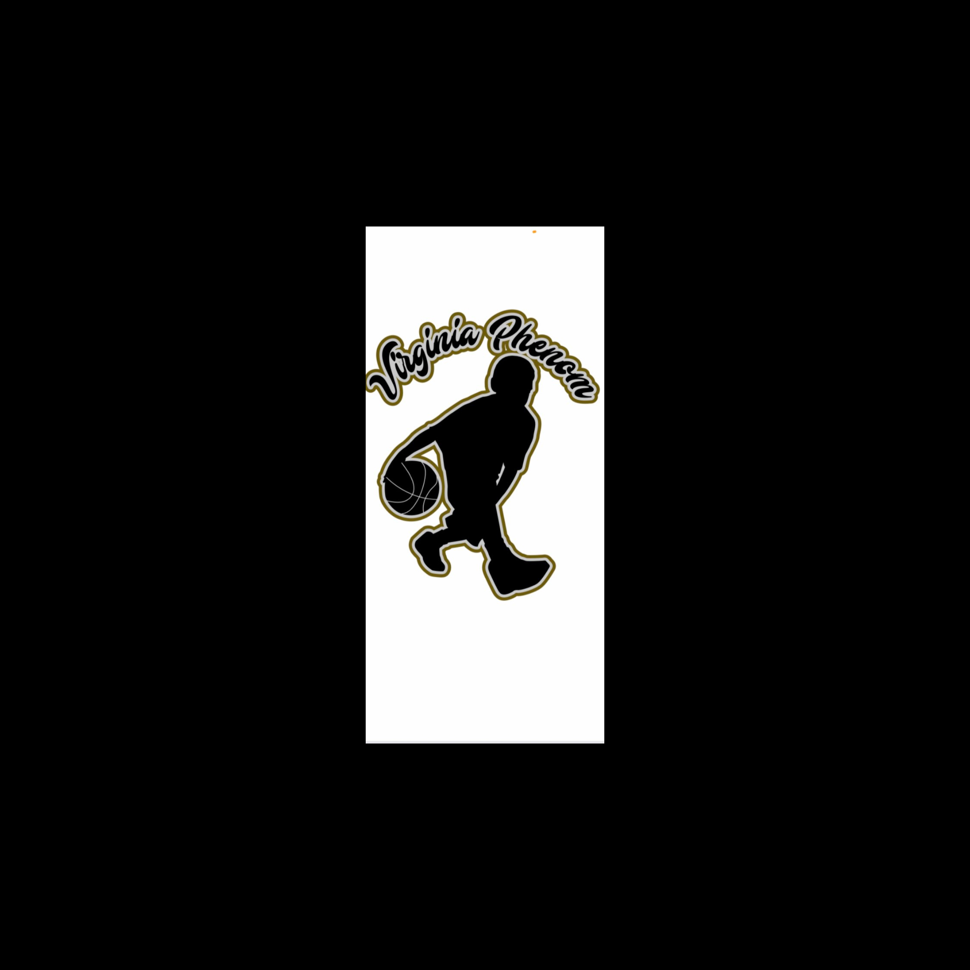 The official logo of Virginia Phenom