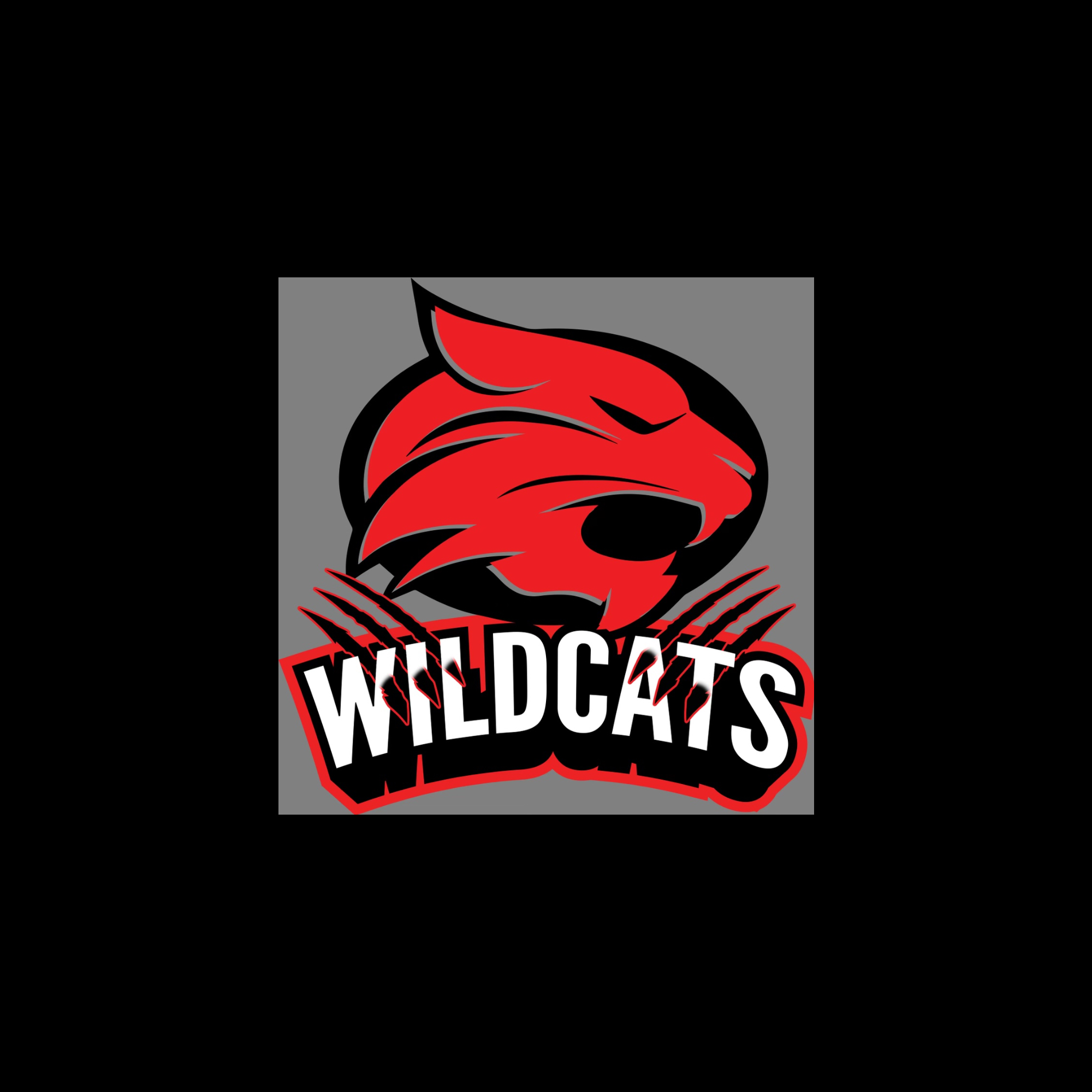 The official logo of Wildcats Elite